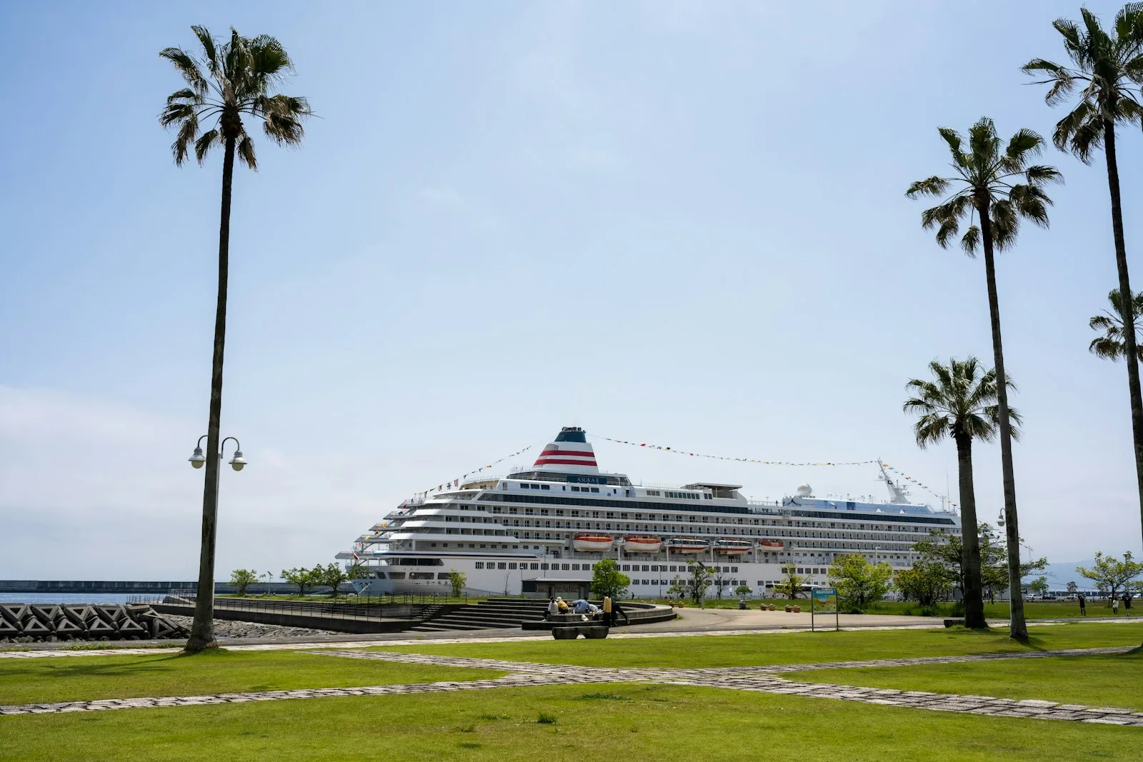 Crucero atracado en la terminal de Las Palmas con palmeras en primer plano