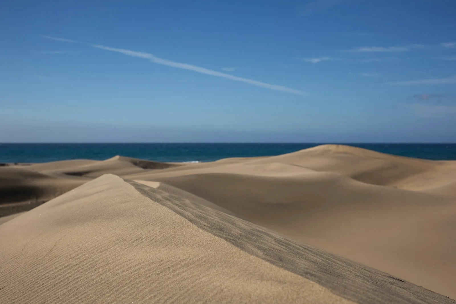 Dunas de Maspalomas con el océano al fondo, el paisaje más conocido del sur de Gran Canaria